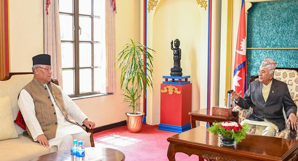 राष्ट्रपतिसँग आङ्देम्बेको भेट, राजनीतिक र विपद् केन्द्रित छलफल