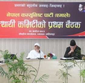 एमालेले तोक्यो वडा र पालिका अधिवेशनको मिति, १३ जना केन्द्रीय सदस्यमा मनोनीत